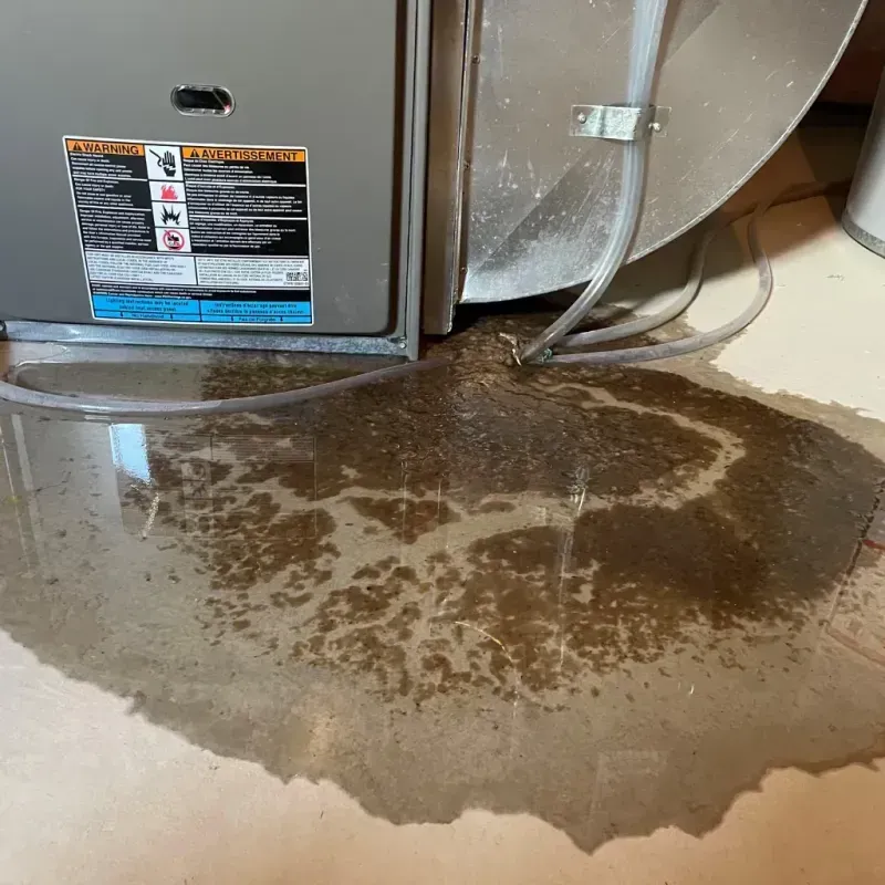 Appliance Leak Cleanup in Dane County, WI